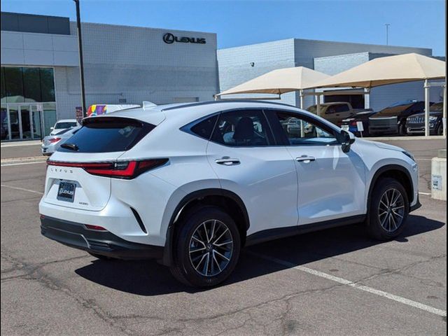 2025 Lexus NX 250