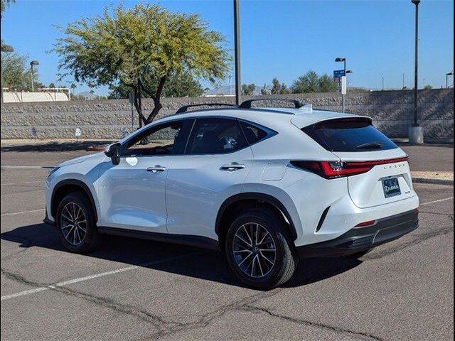 2025 Lexus NX 250