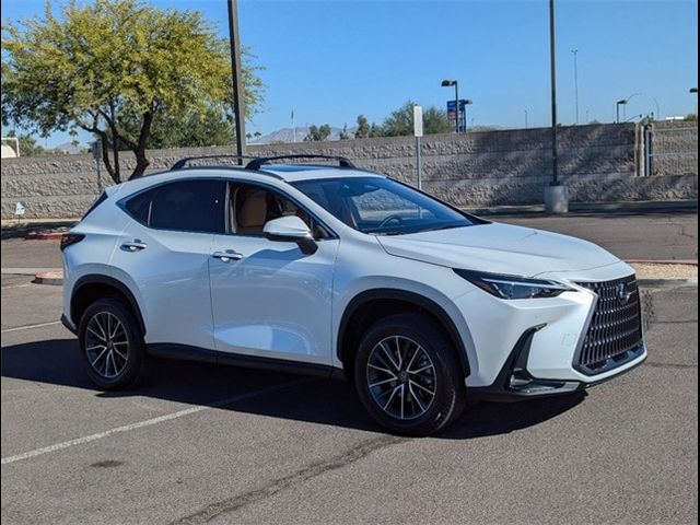 2025 Lexus NX 250