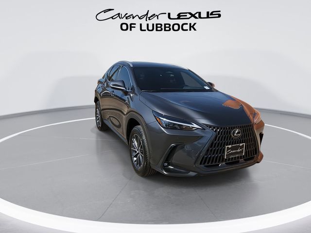 2025 Lexus NX 250 Premium