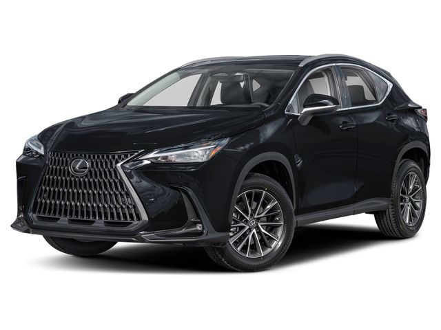 2025 Lexus NX 250 Premium