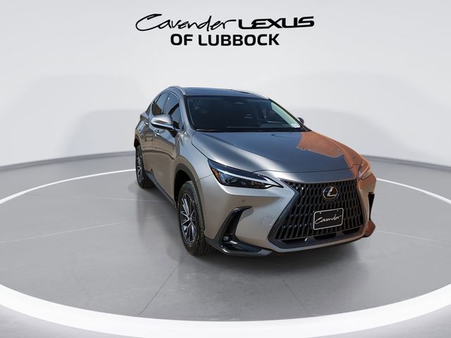 2025 Lexus NX 250 Premium