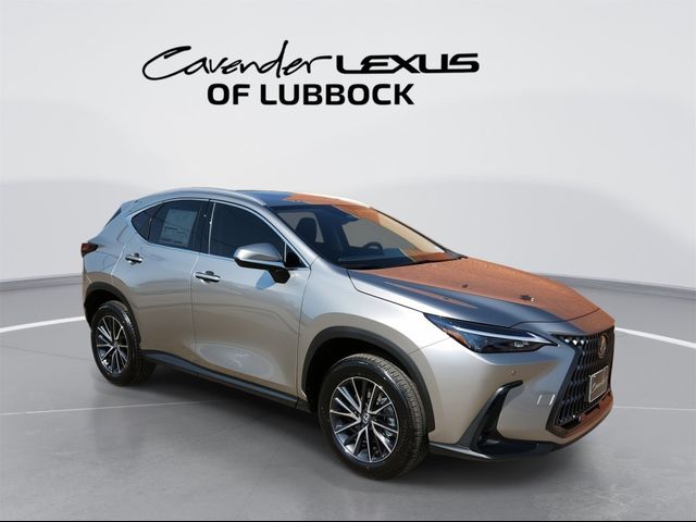 2025 Lexus NX 250 Premium