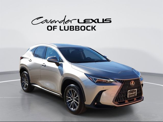 2025 Lexus NX 250 Premium