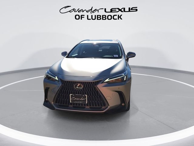 2025 Lexus NX 250 Premium