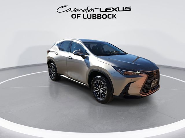 2025 Lexus NX 250 Premium