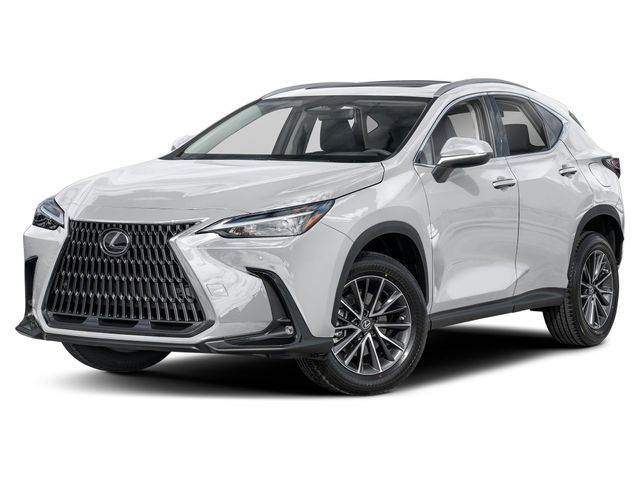 2025 Lexus NX 250 Premium