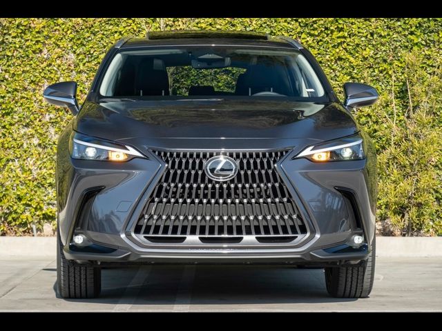 2025 Lexus NX 250 Premium