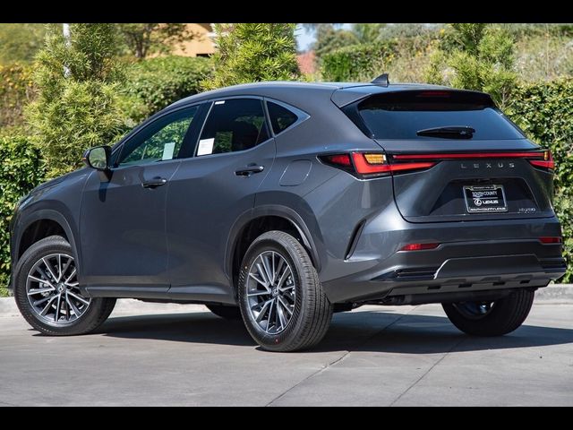 2025 Lexus NX 250 Premium