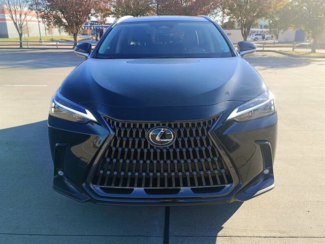 2025 Lexus NX 250 Premium