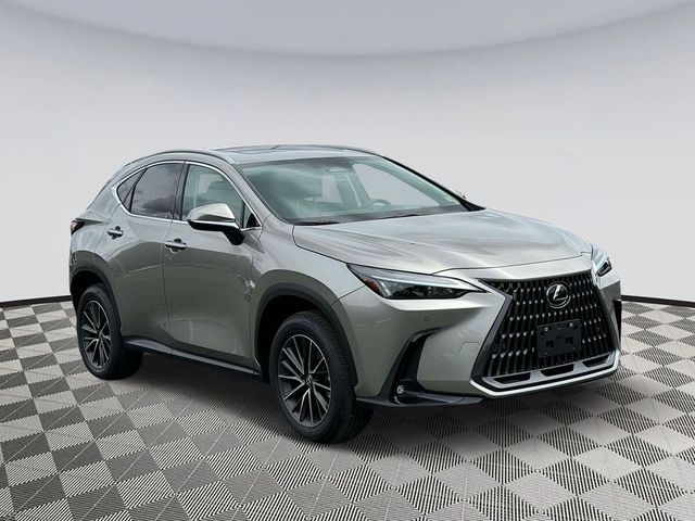 2025 Lexus NX 250 Premium