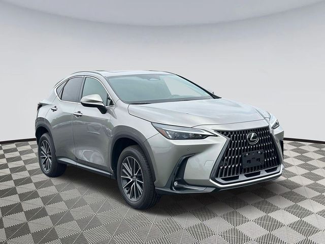 2025 Lexus NX 250 Premium