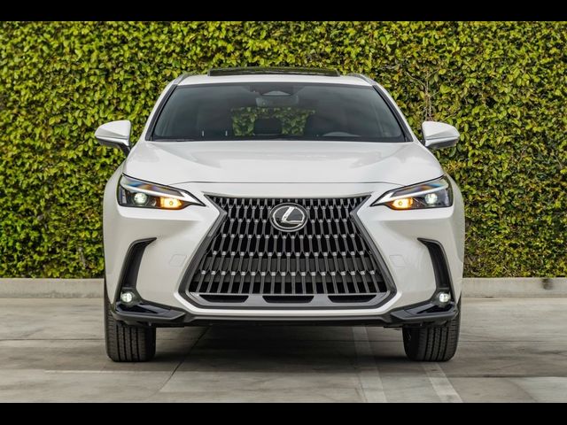 2025 Lexus NX 250 Premium