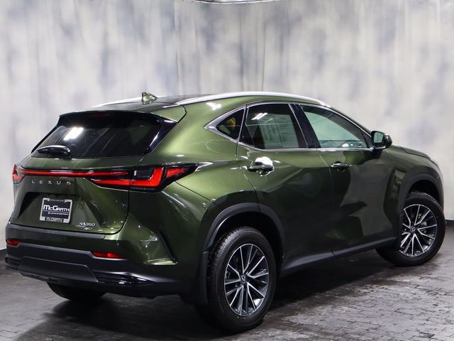 2025 Lexus NX 350