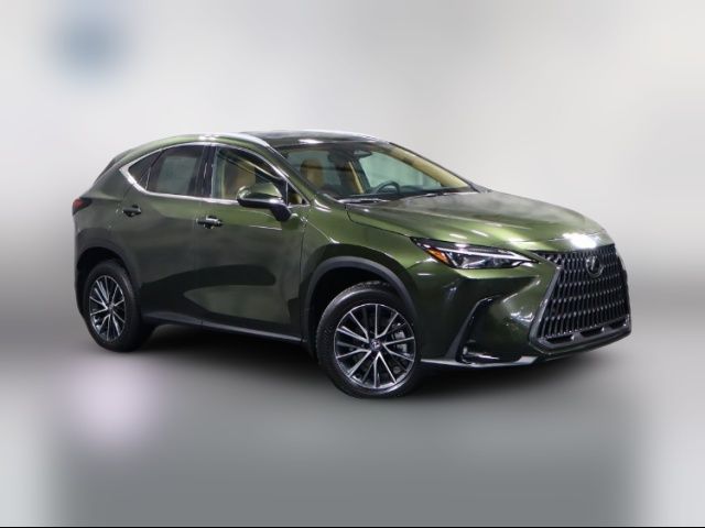 2025 Lexus NX 350