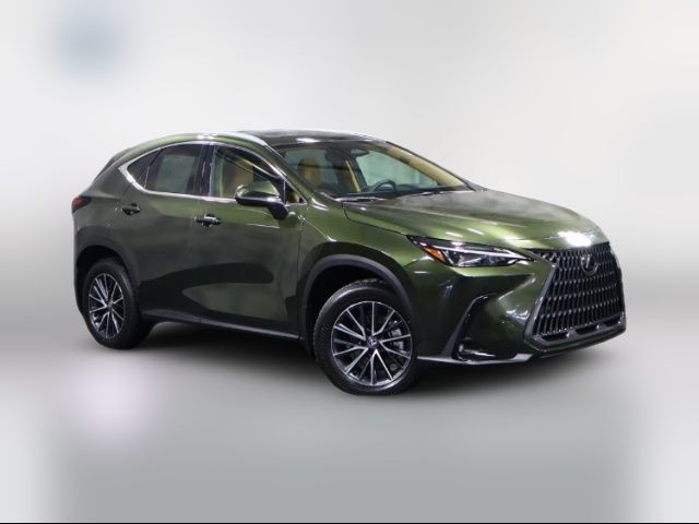 2025 Lexus NX 350