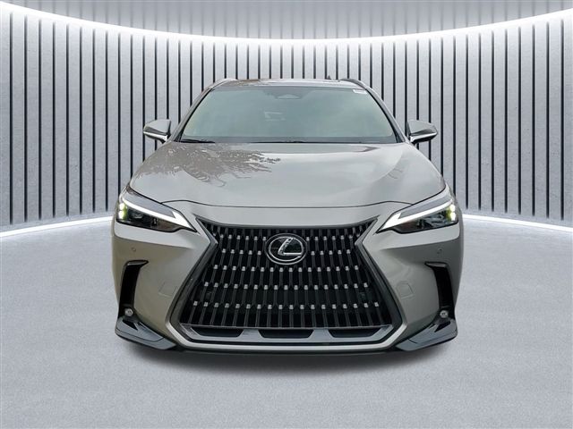 2025 Lexus NX 350