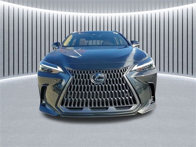 2025 Lexus NX 350