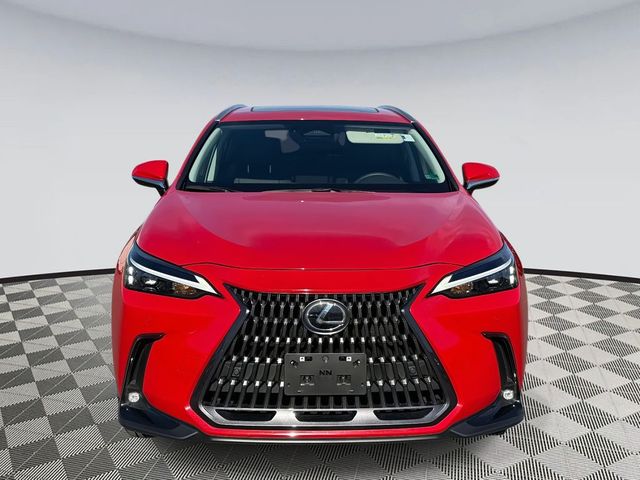 2025 Lexus NX 350