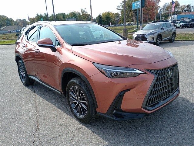 2025 Lexus NX 350