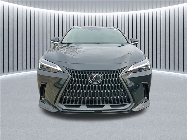 2025 Lexus NX 350