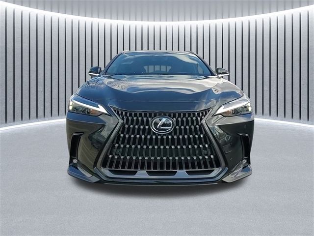 2025 Lexus NX 350