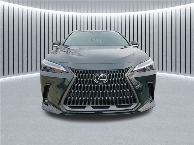 2025 Lexus NX 350