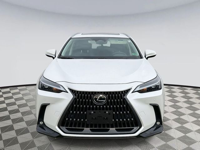 2025 Lexus NX 350