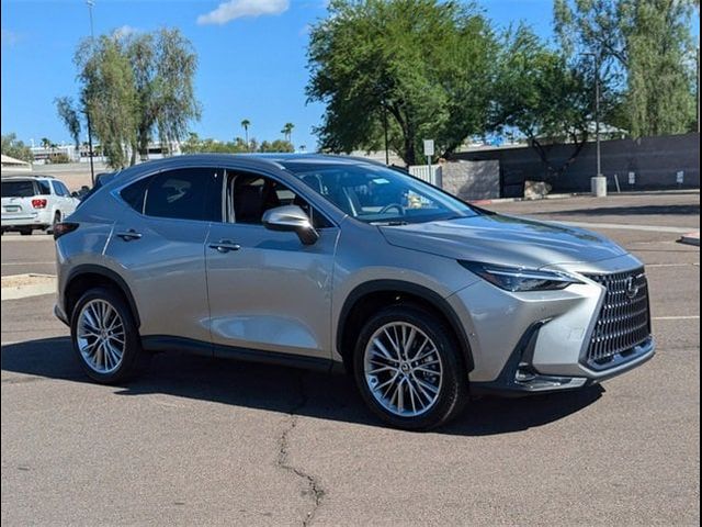 2025 Lexus NX 350 Luxury