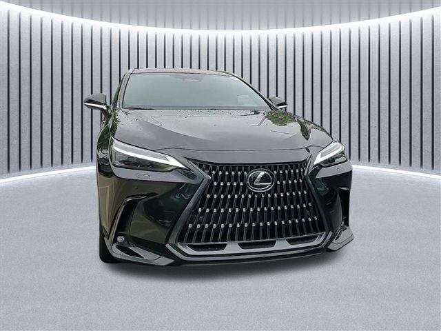 2025 Lexus NX 350 Luxury