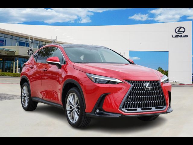 2025 Lexus NX 350 Luxury