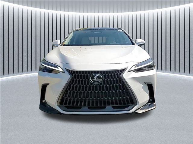 2025 Lexus NX 350 Luxury