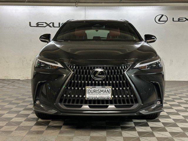 2025 Lexus NX 350