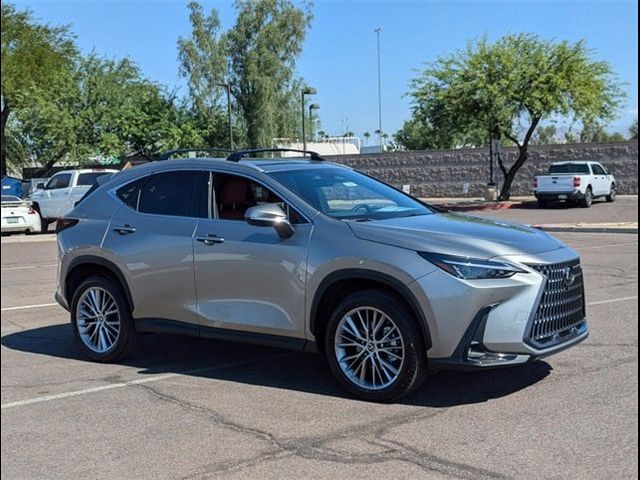 2025 Lexus NX 350 Premium