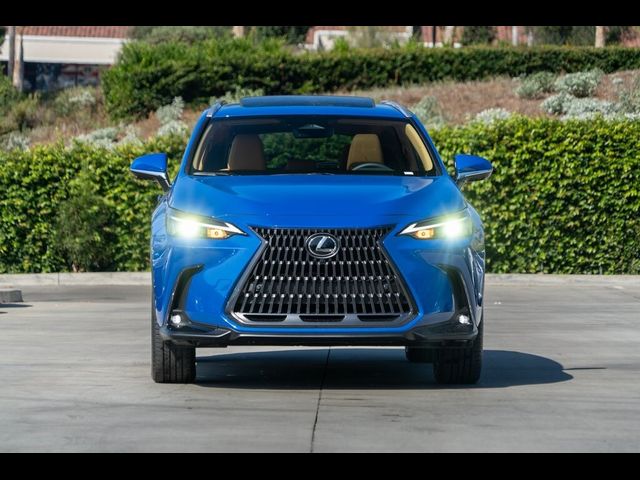 2025 Lexus NX 350 Premium