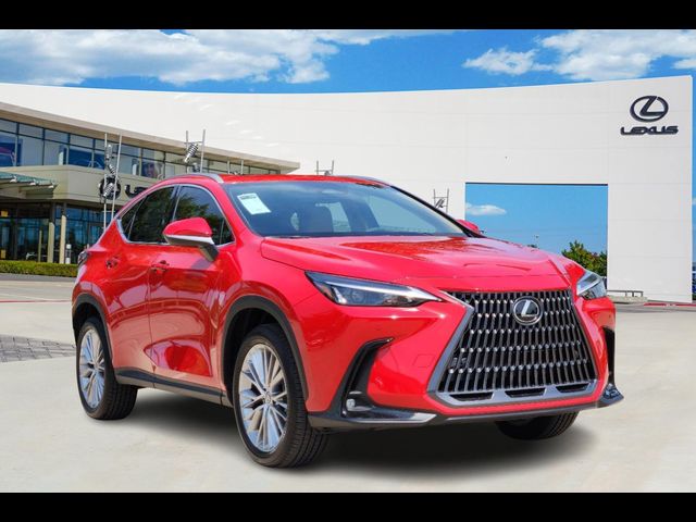 2025 Lexus NX 350 Premium