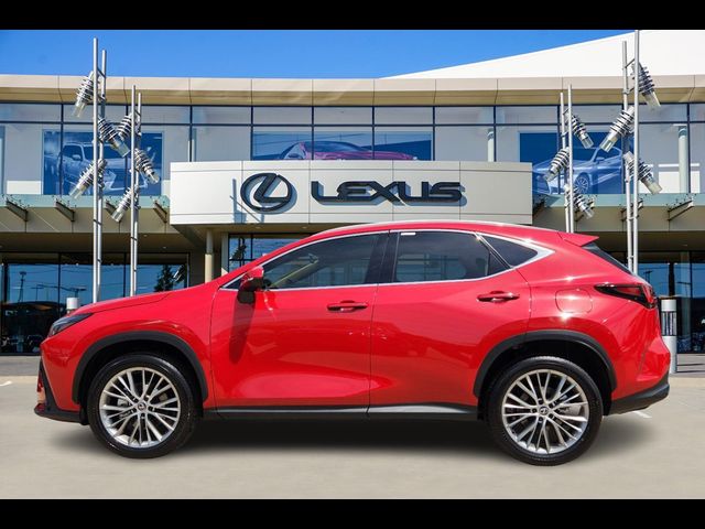 2025 Lexus NX 350 Premium