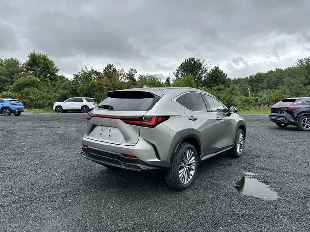 2025 Lexus NX 350 Premium