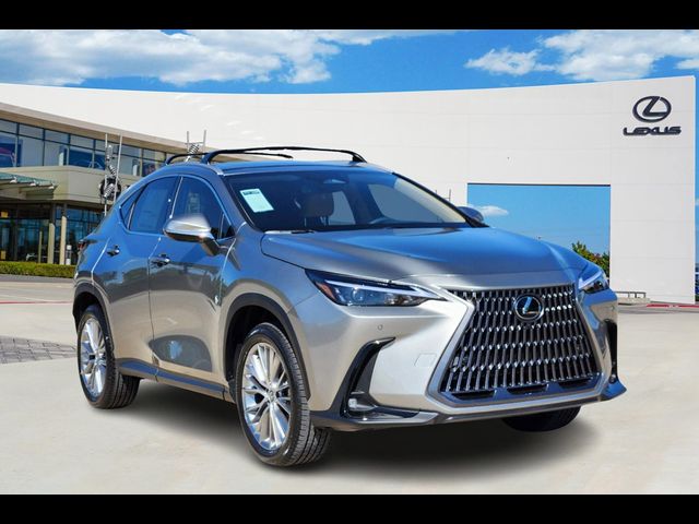 2025 Lexus NX 350 Premium