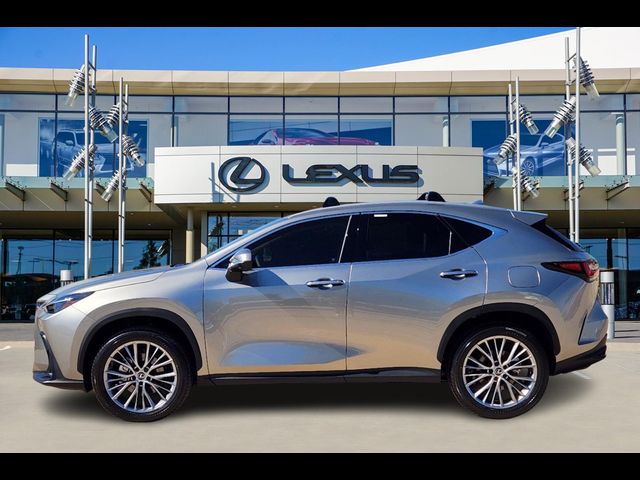 2025 Lexus NX 350 Premium