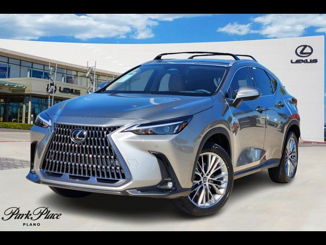 2025 Lexus NX 350 Premium