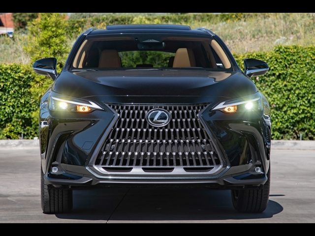 2025 Lexus NX 350 Premium