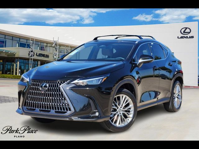 2025 Lexus NX 350 Premium