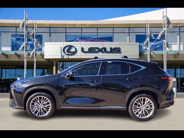 2025 Lexus NX 350 Premium