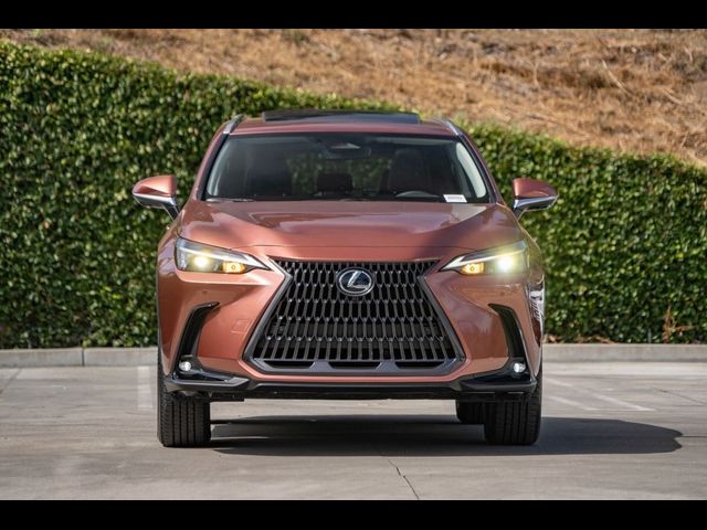 2025 Lexus NX 350 Premium