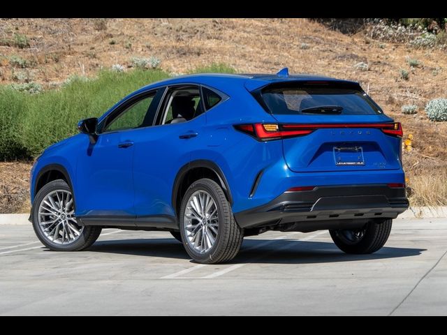 2025 Lexus NX 350 Premium