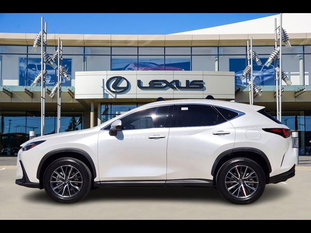 2025 Lexus NX 350 Premium