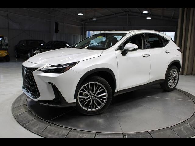 2025 Lexus NX 350 Premium