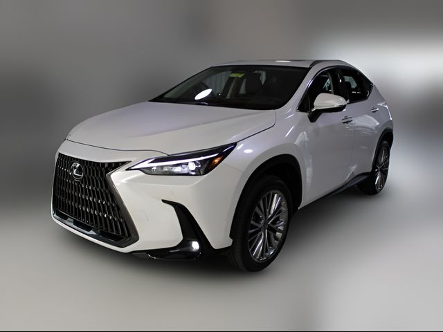 2025 Lexus NX 350 Premium