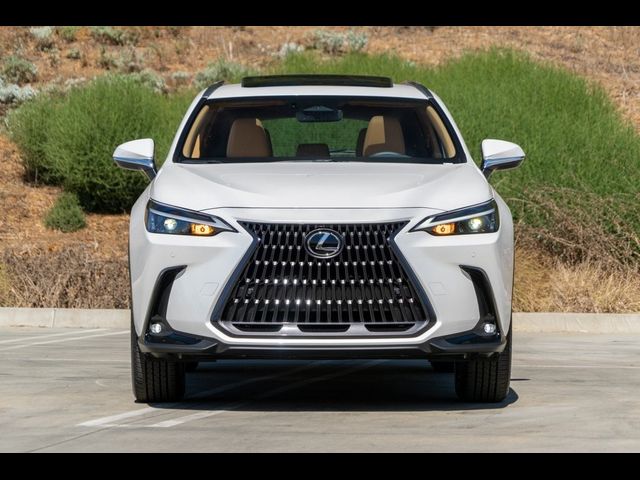 2025 Lexus NX 350 Premium